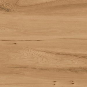 ESSEN BROWN 60X120 MATE